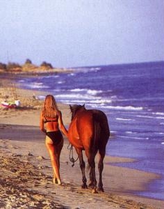 Vir: Revija: Mediterranee magazine; Horse- Serie No 8; April 97